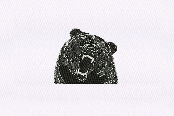 Black Bear Face