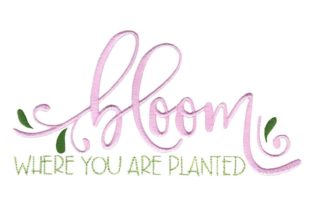 Bloom Where You Are Planted