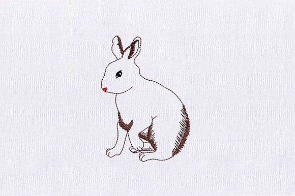 Bunny Rabbit