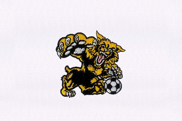 Cheetah Playing Soccer
