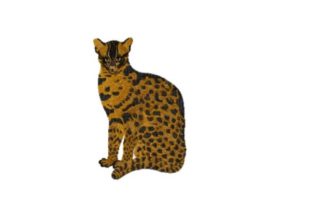 Fishing Cat: A Boutique Sweatshirt Embroidery Review