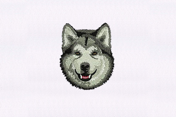 Husky Face