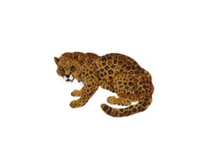 Jaguar Embroidery Design Review