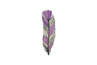 Purple Feather