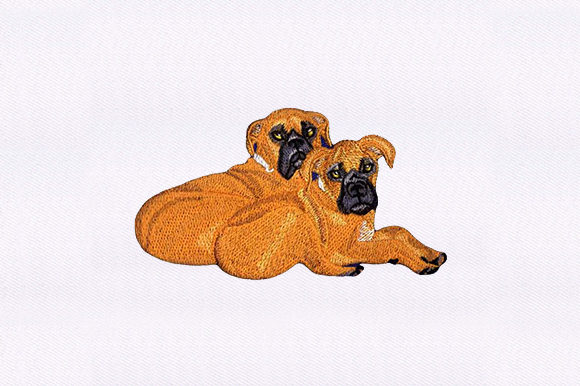 Sitting Boxers