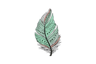 Teal Feather