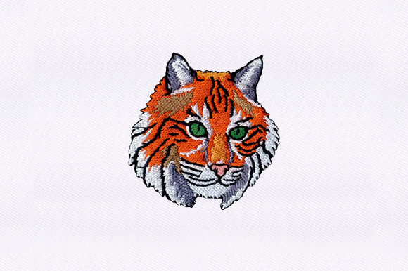 Wildcat